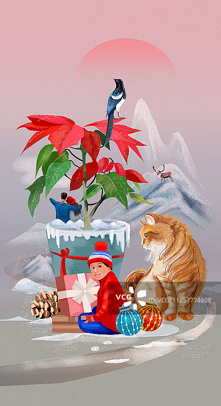 花历 12月 猩猩木 亮版图片素材