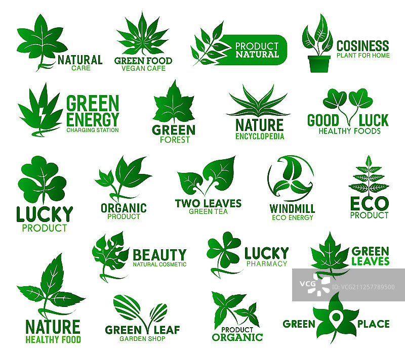 绿叶植物、树木和花朵图片素材