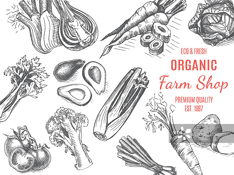 有机农场商店蔬菜素描图片素材