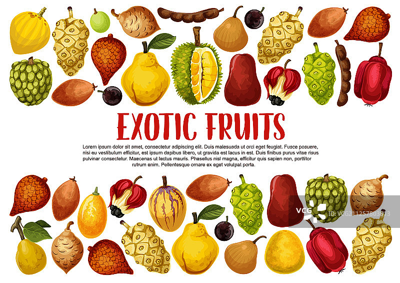 异国水果和亚洲热带浆果图片素材