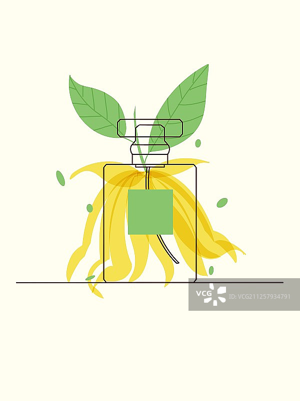 依兰香水图片素材