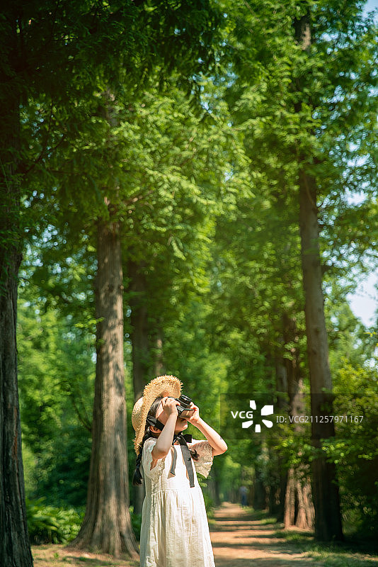 儿童幼儿园暑假旅行水杉摄影拍摄图片素材