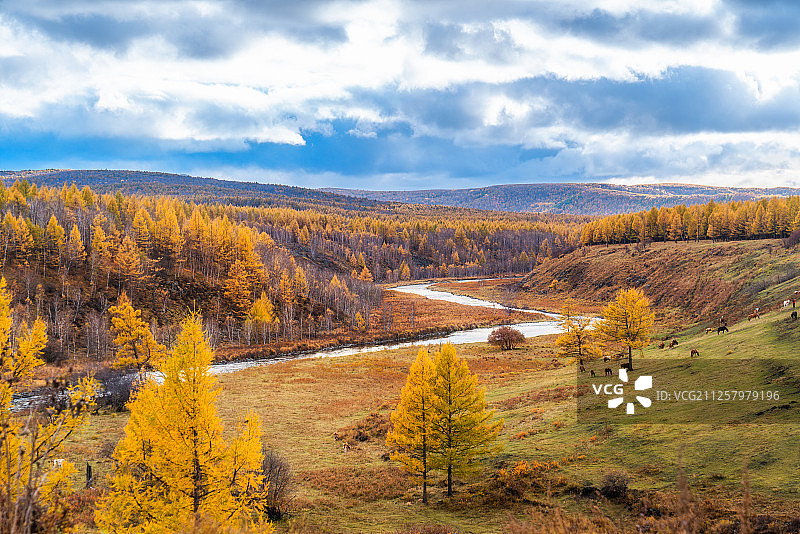 内蒙古阿尔山不冻河景区秋季风景图片素材
