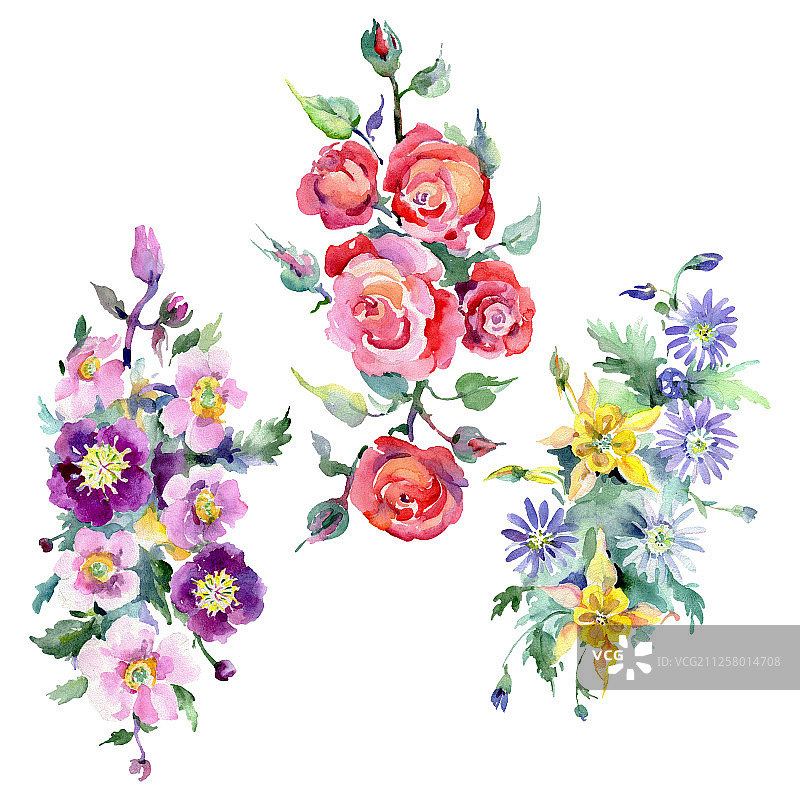 花束，植物花。水彩背景插图集。孤立的花束插图元素。图片素材