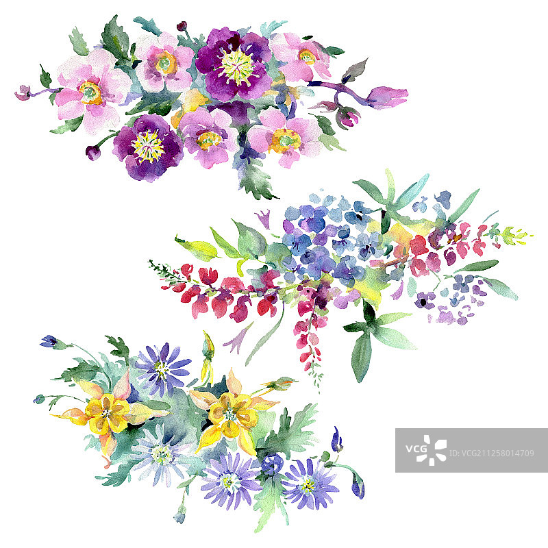 花束，植物花。水彩背景插图集。孤立的花束插图元素。图片素材