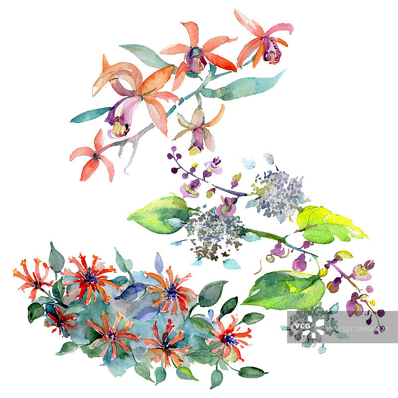 花束，植物花。水彩背景插图集。孤立的花束插图元素。图片素材