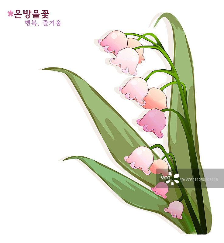 白色背景上的花朵图片素材