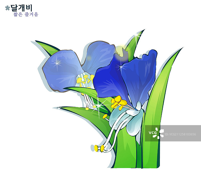 白色背景上的花朵图片素材