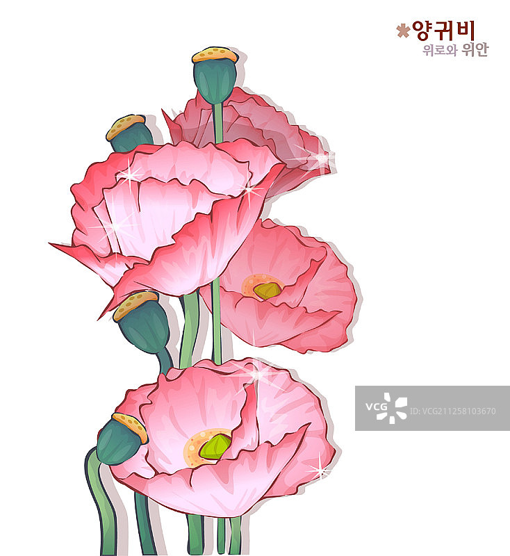 白色背景上的花朵图片素材