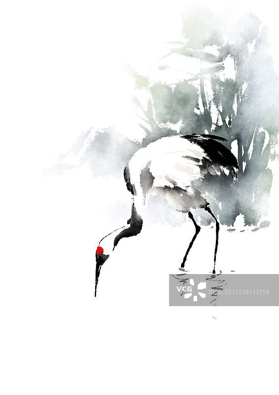 水墨写意风格仙鹤插画图片素材