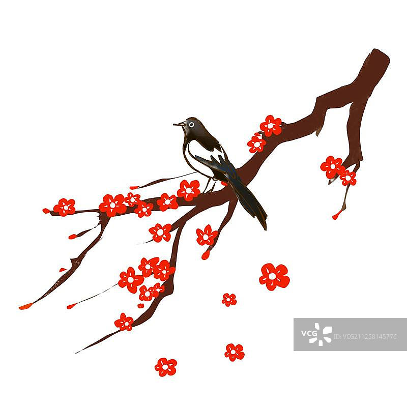 梅花图片素材
