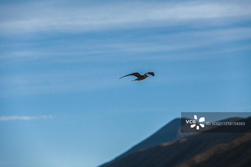 飞过山头图片素材