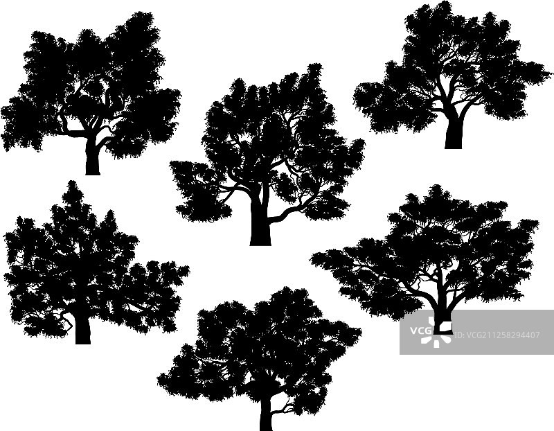 带叶子的橡树轮廓图片素材