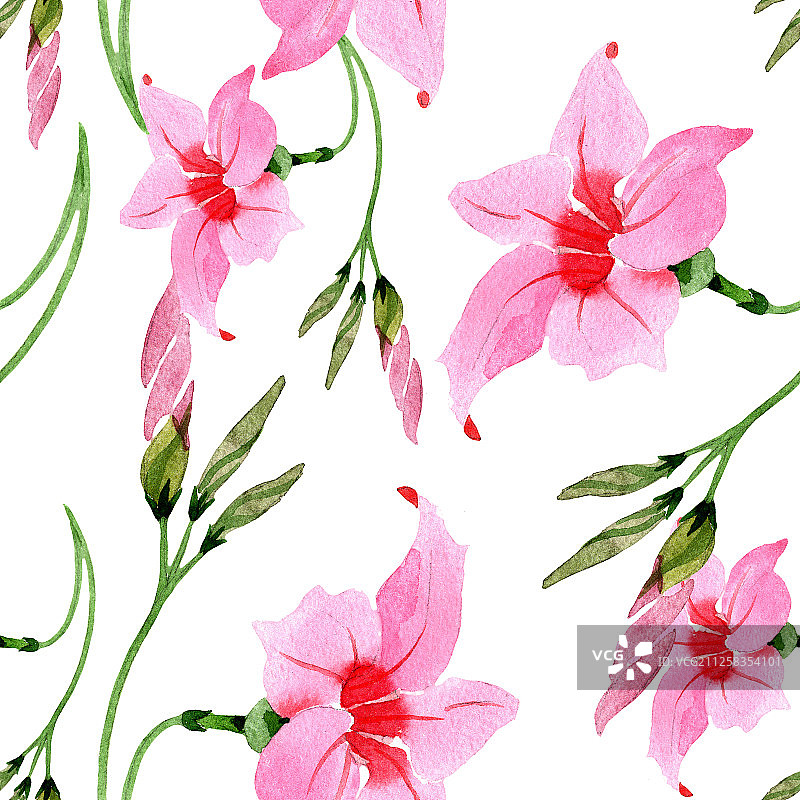 粉色曼德维拉花卉植物水彩背景图，无缝背景图案图片素材
