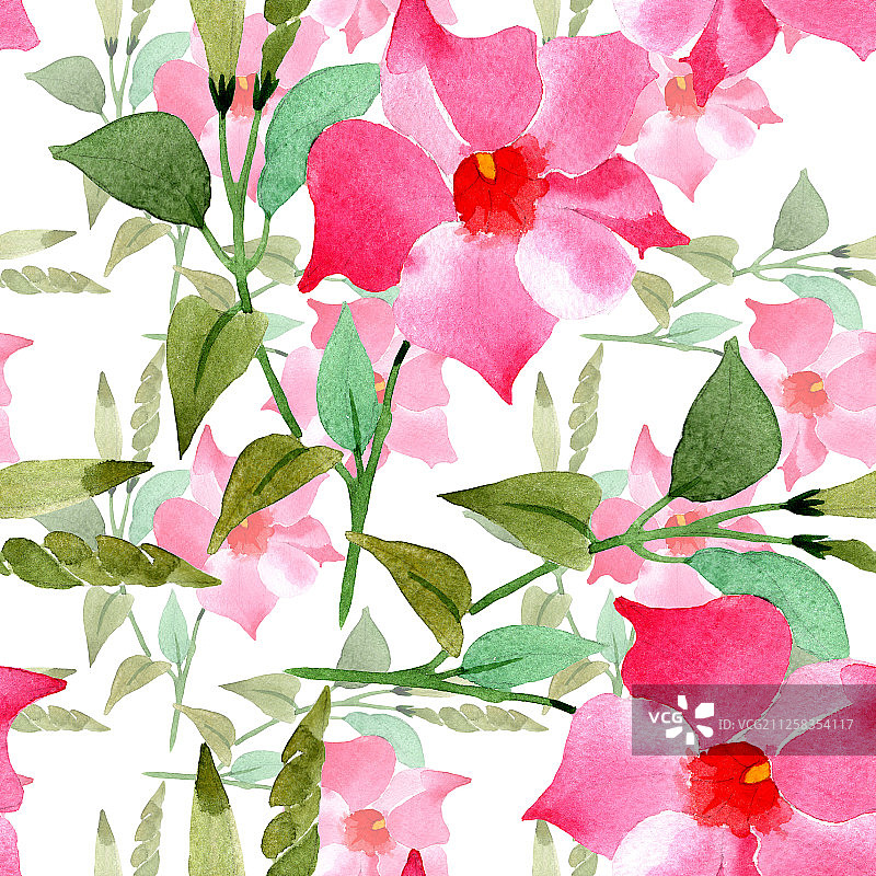粉色曼德维拉花卉植物水彩背景图，无缝背景图案图片素材