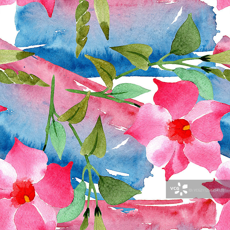 粉色曼德维拉花卉植物水彩背景图，无缝背景图案图片素材