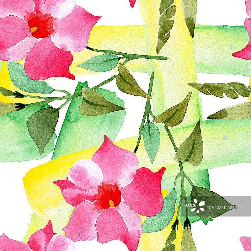 粉色曼德维拉花卉植物水彩背景图，无缝背景图案图片素材