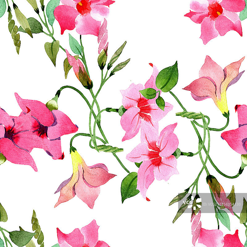 粉色曼德维拉花卉植物水彩背景图，无缝背景图案图片素材