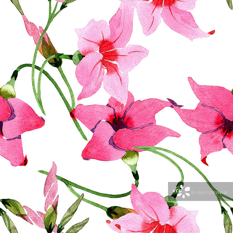 粉色曼德维拉花卉植物水彩背景图，无缝背景图案图片素材