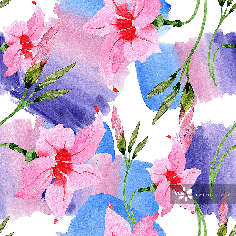 粉色曼德维拉花卉植物水彩背景图，无缝背景图案图片素材