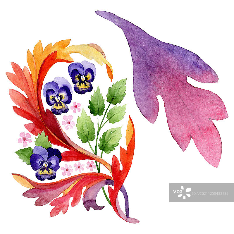 三色堇植物花卉装饰水彩背景插图图片素材