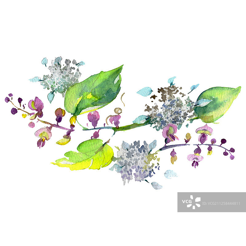 花卉植物花束。水彩背景集。独立花束插图元素。图片素材