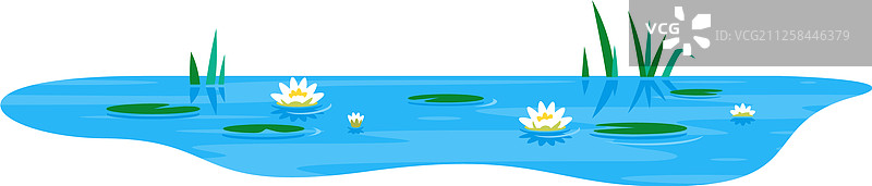 有睡莲的小池塘图片素材