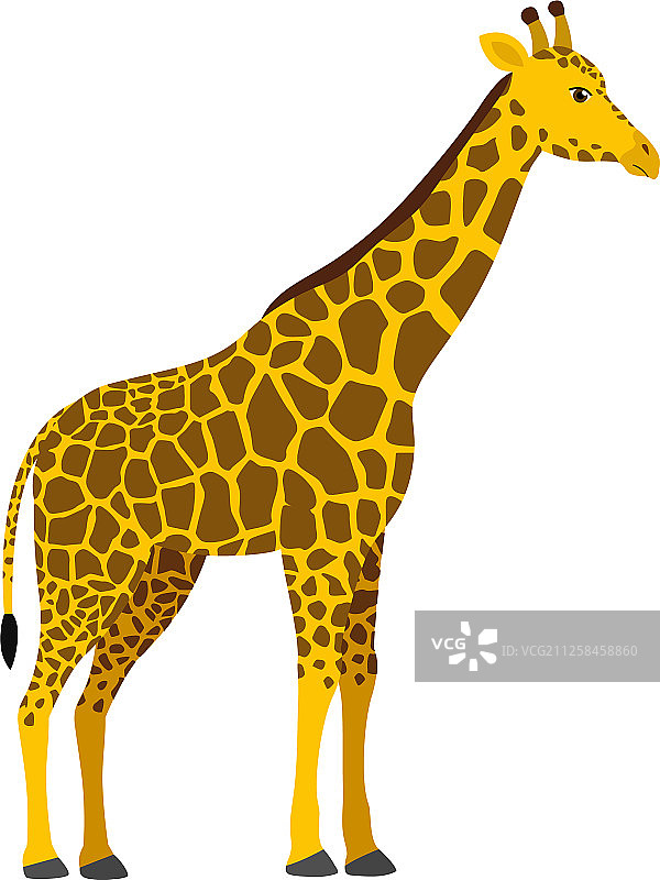 非洲野生动物扁平风长颈鹿图片素材