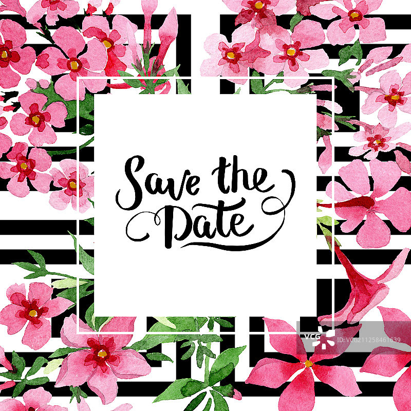 粉色福禄考植物花卉水彩背景边框图片素材