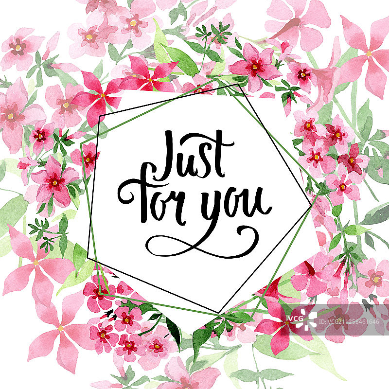 粉色福禄考植物花卉水彩背景边框图片素材