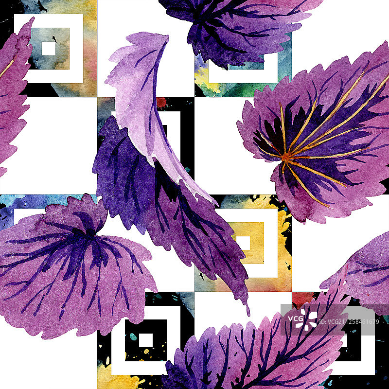 绿紫色秋海棠叶水彩背景图案无缝背景图片素材