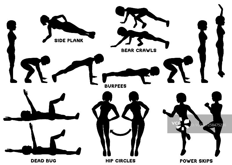 波比跳、熊爬、环髋、死虫侧图片素材