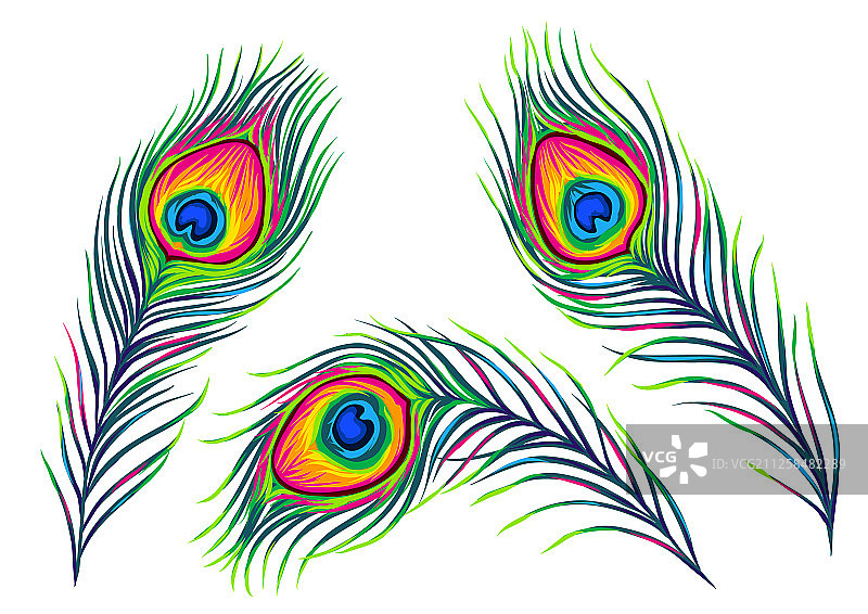 孔雀羽毛素材图片素材