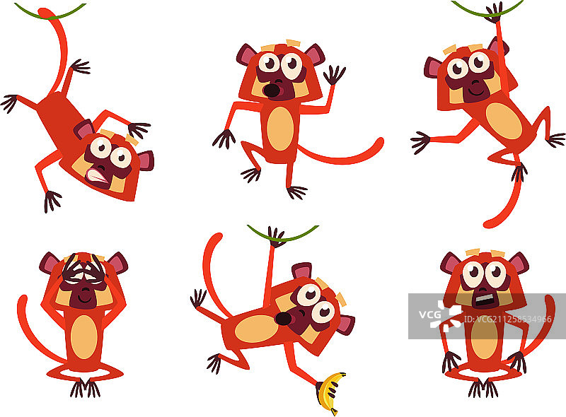 扁平风格棕色风趣狐猴素材套装图片素材