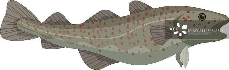 大型大西洋鳕鱼卡通图标图片素材