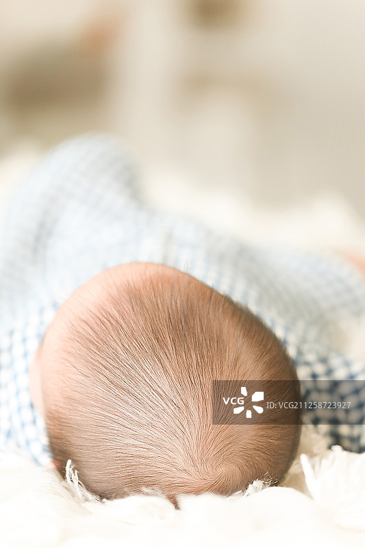 生活方式宝贝图片素材