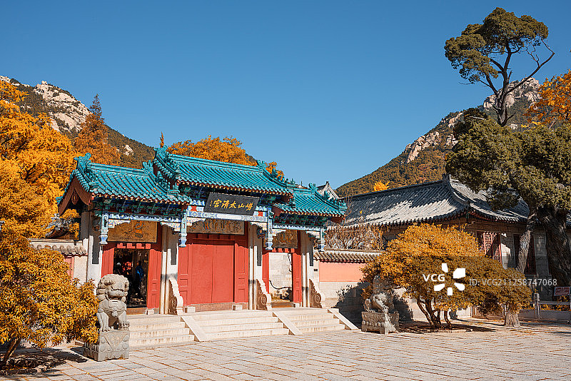 崂山太清宫秋色图片素材