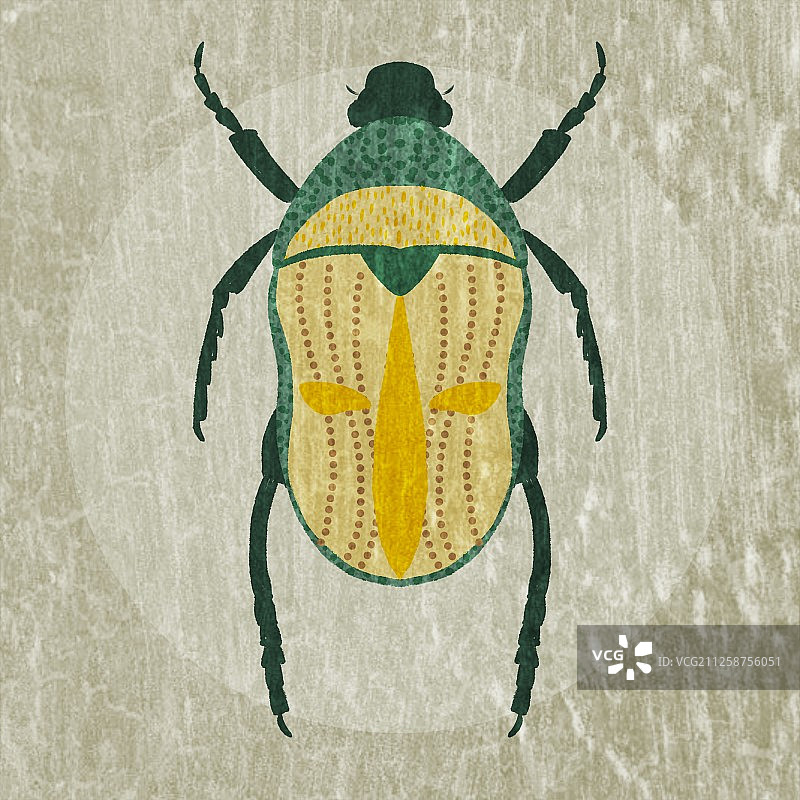 有趣的甲壳虫们图片素材