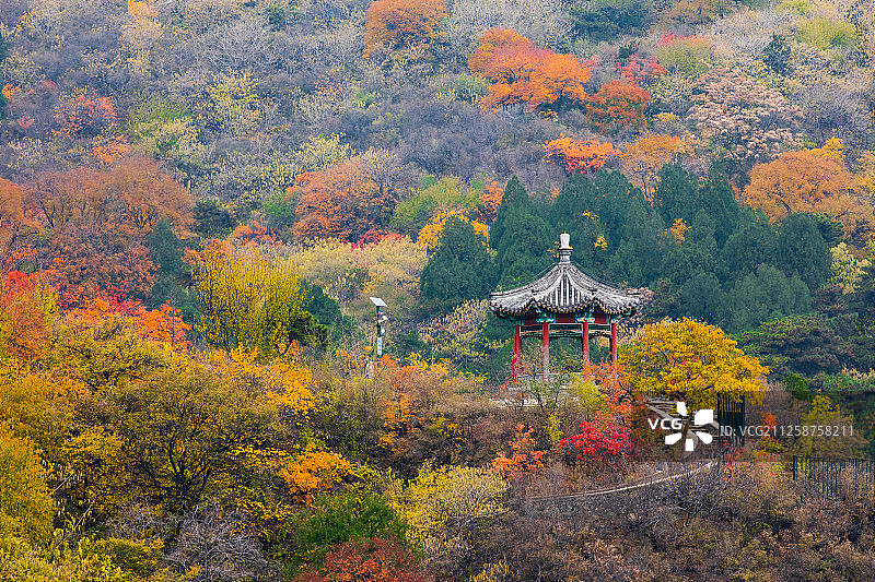 北京香山秋色图片素材