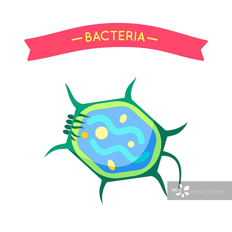 乌龟细菌或微生物图图片素材