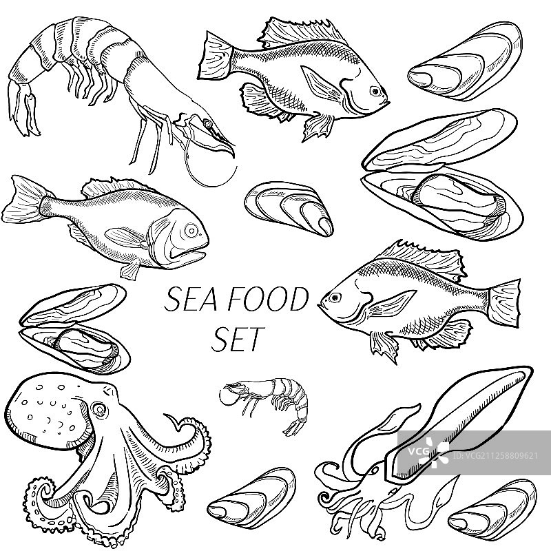 海鲜产品合集图片素材