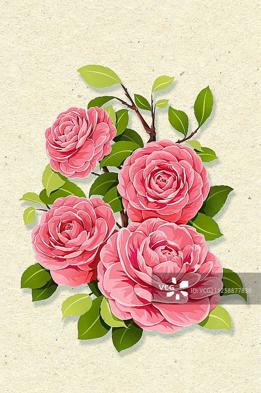 节气时令之花系列之有字图片素材