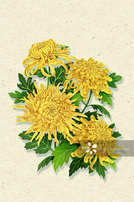 节气时令之花系列之有字图片素材