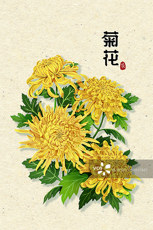 节气时令之花系列之有字图片素材