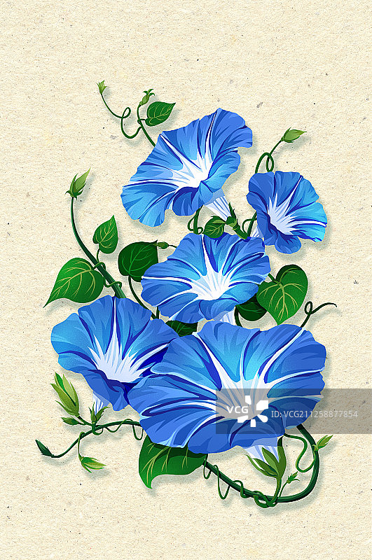 节气时令之花系列之有字图片素材