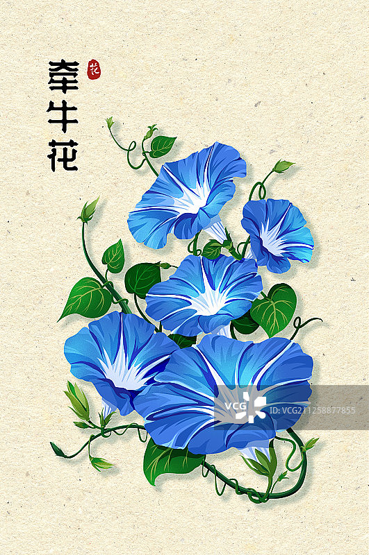 节气时令之花系列之有字图片素材