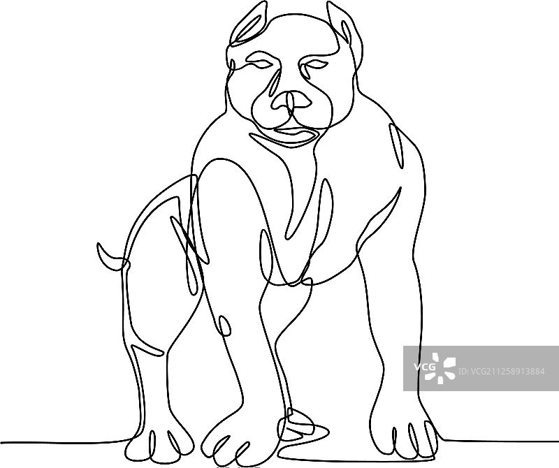 美国恶霸犬连续线条图片素材