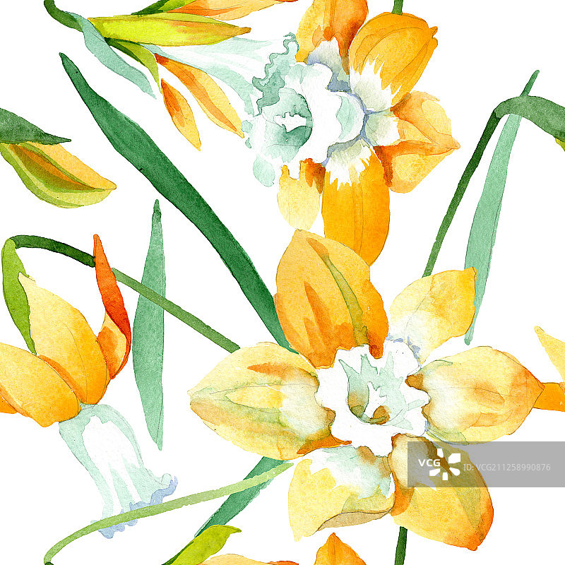 黄色水仙花植物花卉。水彩背景图集。无缝背景图案图片素材