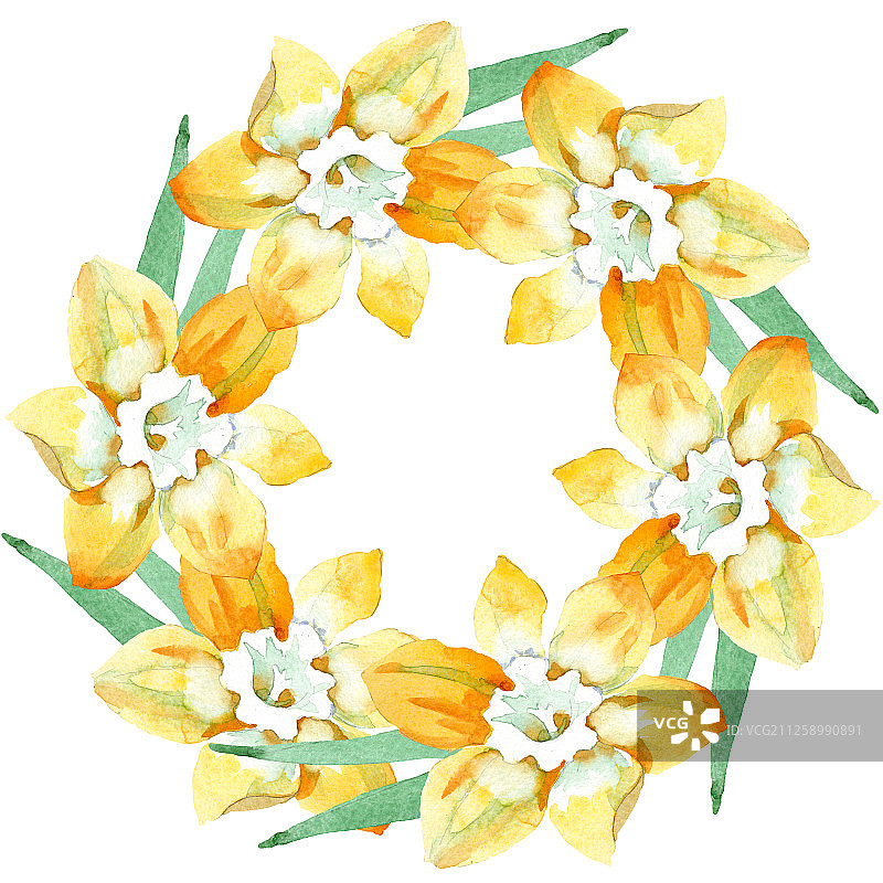 黄色水仙花卉植物花朵，水彩背景图案边框装饰方块图片素材