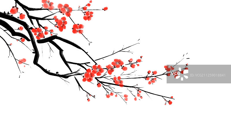 中国风水墨插画梅花图片素材